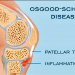 Screenshot_20260308-134239~2