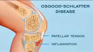 Screenshot_20260308-134239~2