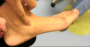 Screenshot_20260308-134308~2