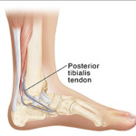 Screenshot_20260308-134343~2