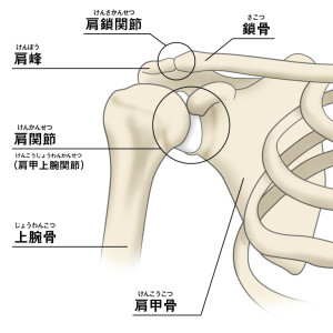 五十肩四十肩２
